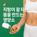 지방연소영양제